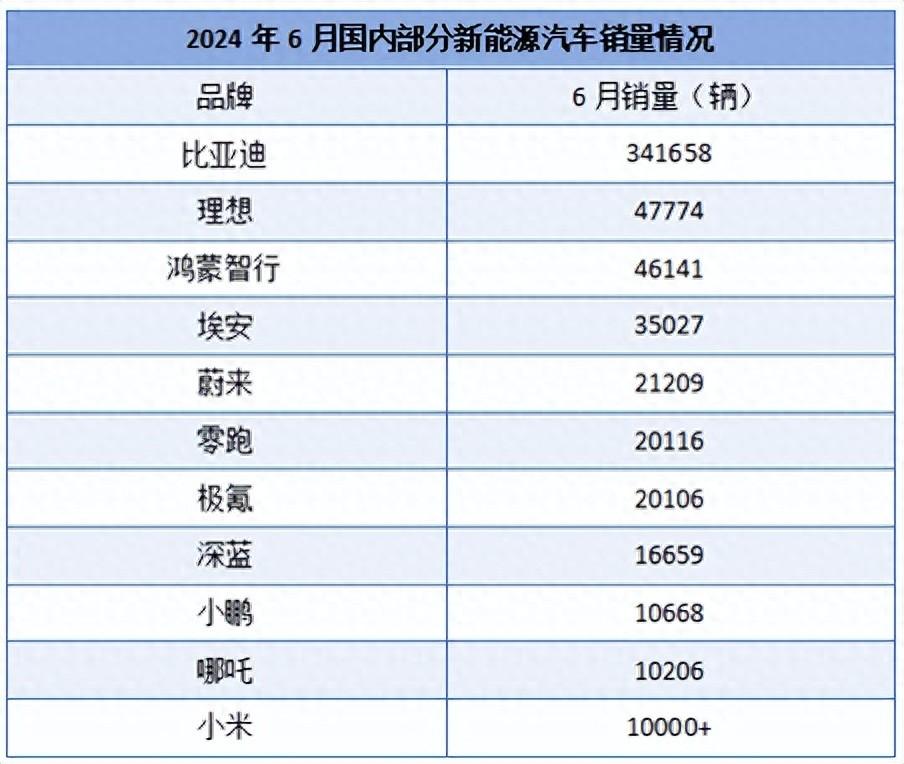 6月“成績單”出爐 用銷量告訴你該選什么新能源品牌