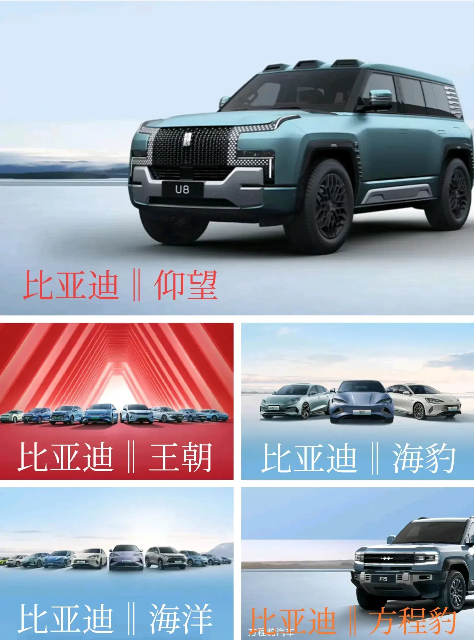 比亞迪國內(nèi)銷量展望:435萬—740萬輛,市場份額20%,力爭30%