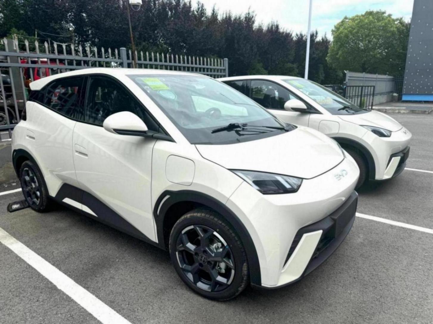 25款比亞迪海鷗實(shí)車到店,換“BYD”尾標(biāo),增座椅加熱+智能上下電