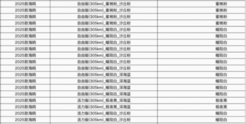 25款比亞迪海鷗實(shí)車到店,換“BYD”尾標(biāo),增座椅加熱+智能上下電