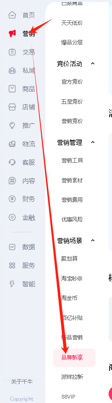 【淘寶店鋪運營必看】提升點擊與轉(zhuǎn)化的六大標簽設(shè)置秘籍!