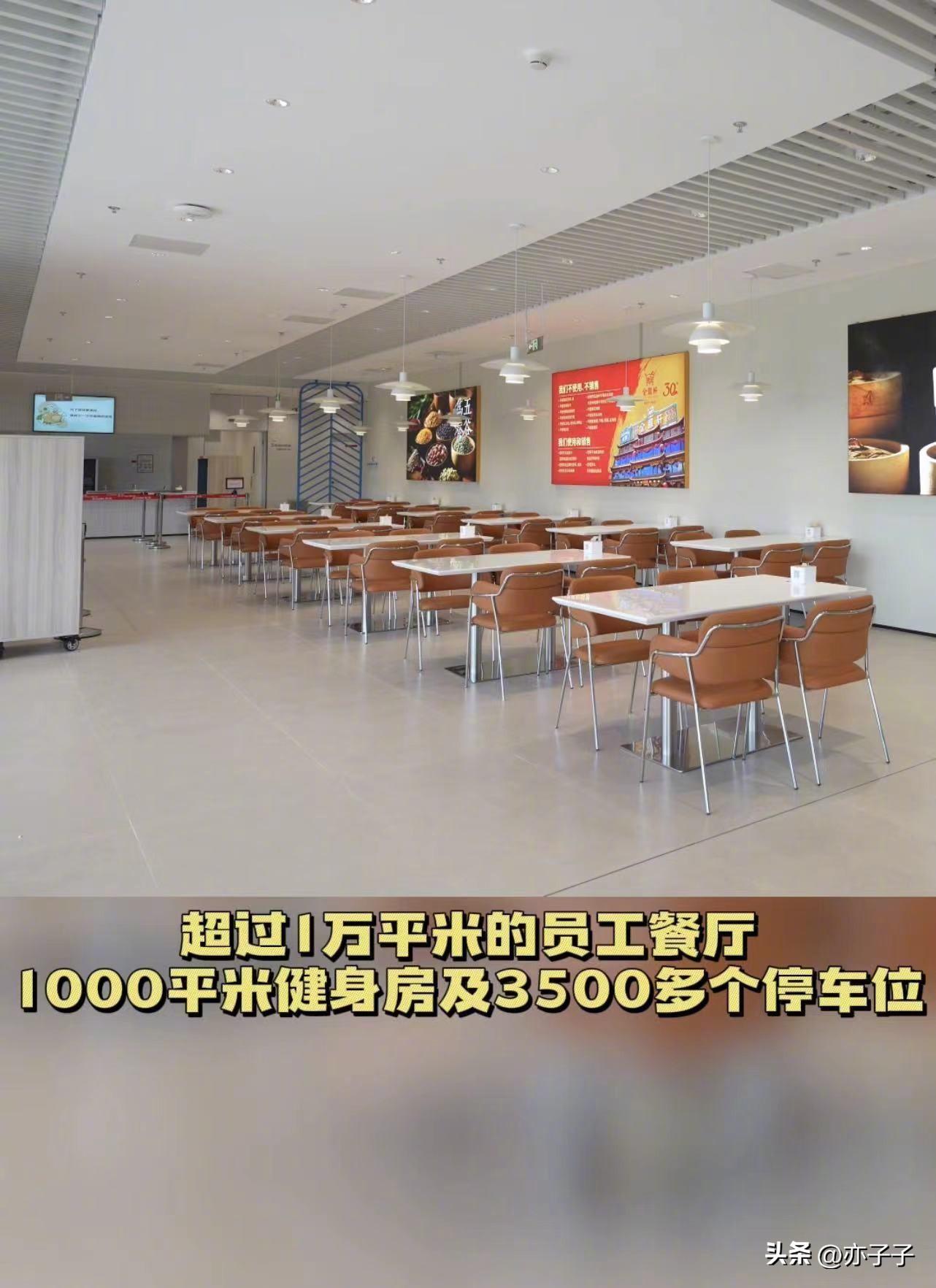 畢業不迷茫,京東校招16000個崗位,總有一款適合你!
