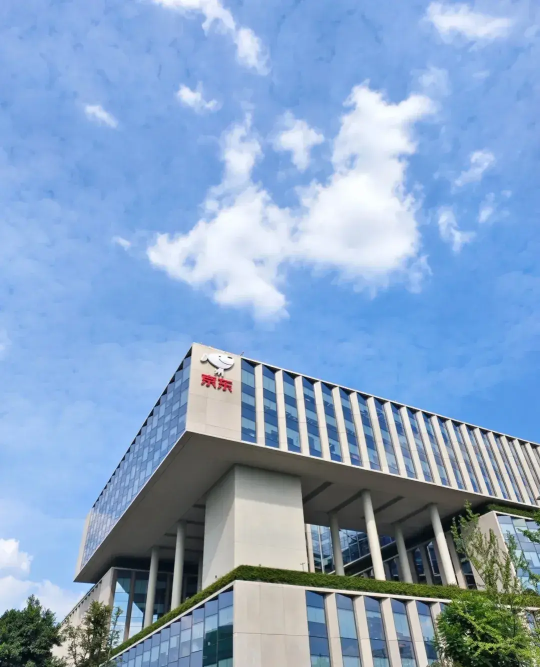 京東大動作!2025 校招啟動,要給大學生們送“就業大禮包”啦!