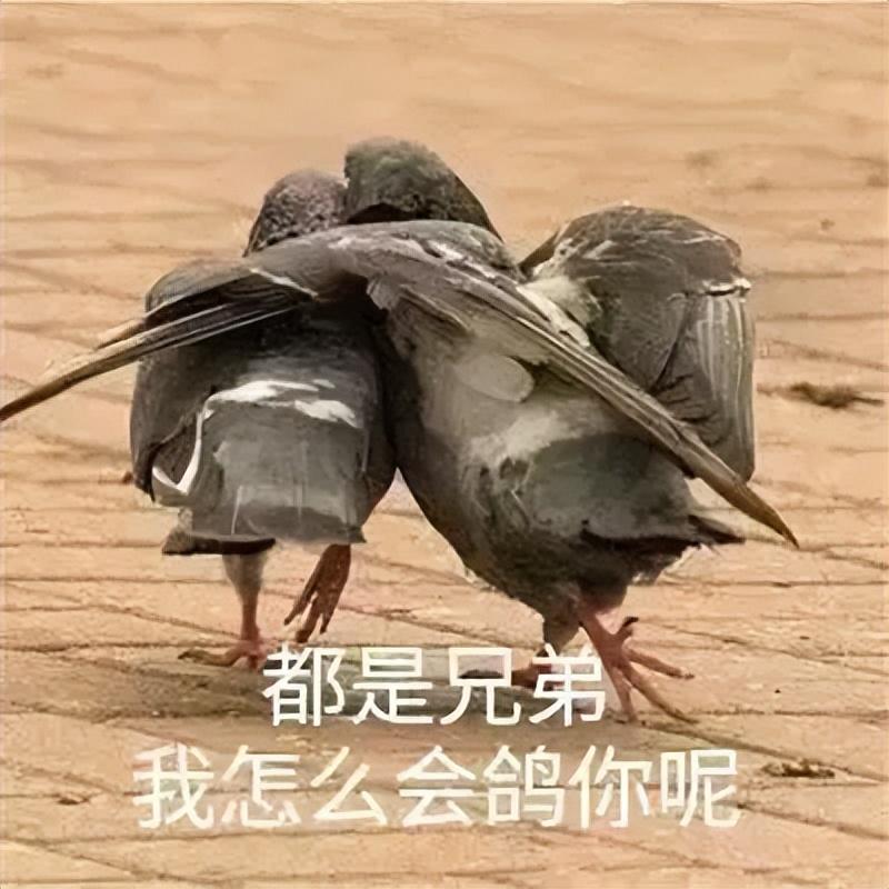 升級到澎湃OS最新版后,小米手機怎么了?