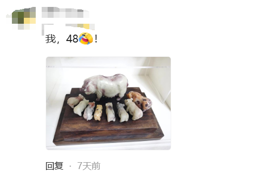 老婆分享老公買的幼稚玩具。網友:以為只有我老公會這樣
