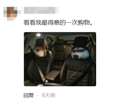 老婆分享老公買的幼稚玩具。網友:以為只有我老公會這樣
