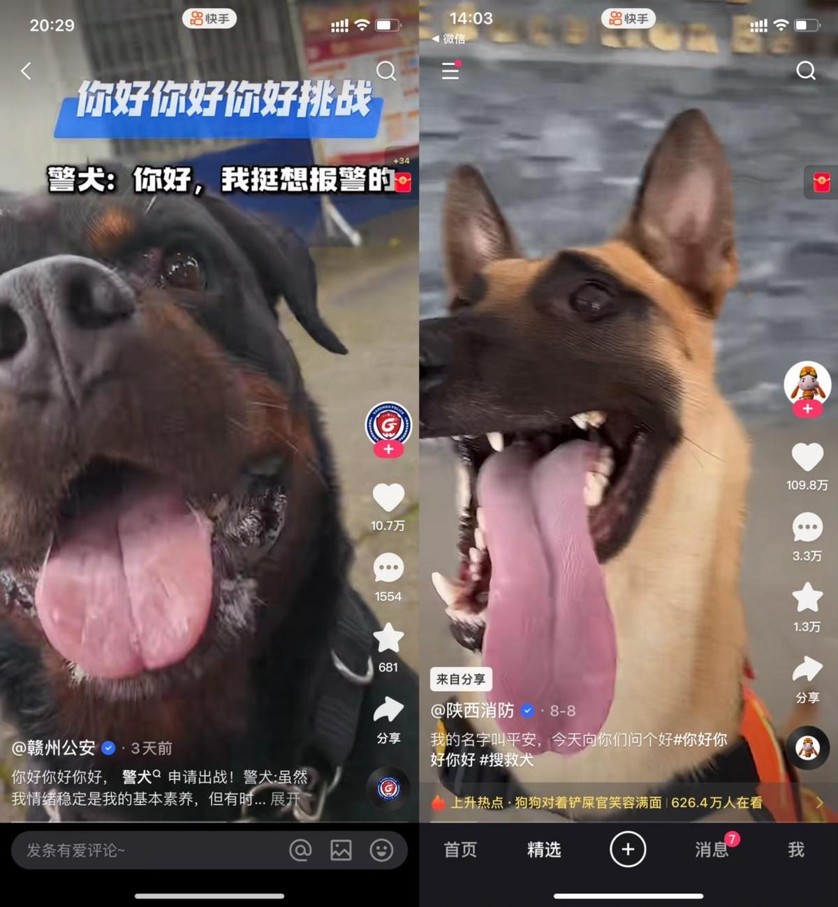 “你好你好”成網(wǎng)絡(luò)社交新方式,持續(xù)刷屏快手引熱議