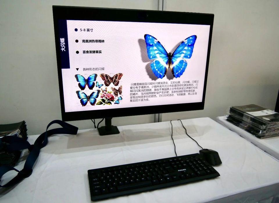 助力文博數字化,索尼空間現實顯示屏亮相第十屆“博博會”