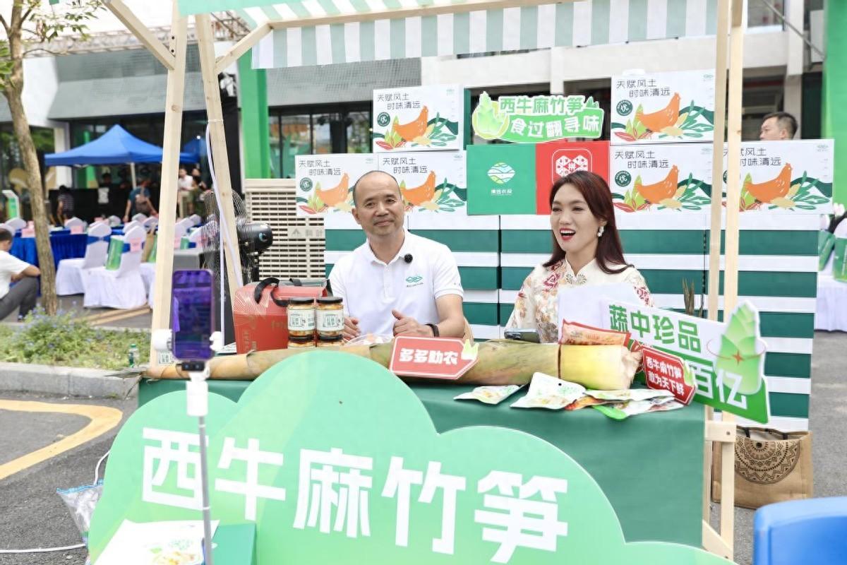 助力“百千萬工程” 拼多多三大舉措力推清遠麻竹筍成就“百億產業”