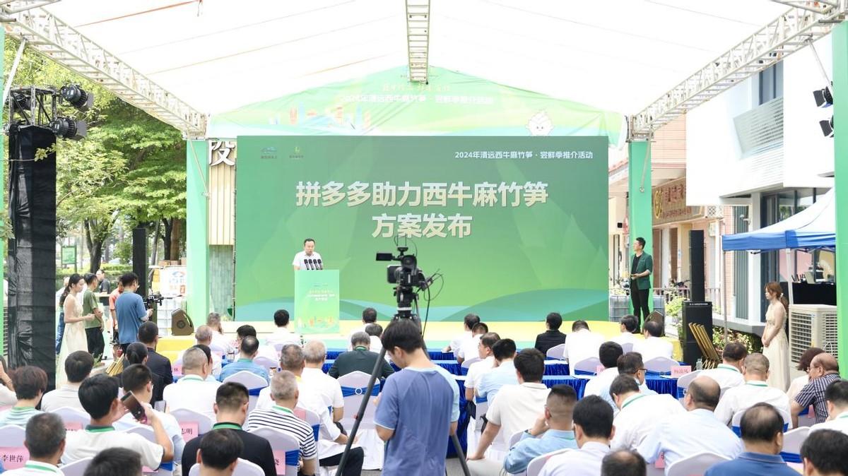 助力“百千萬工程” 拼多多三大舉措力推清遠麻竹筍成就“百億產業”