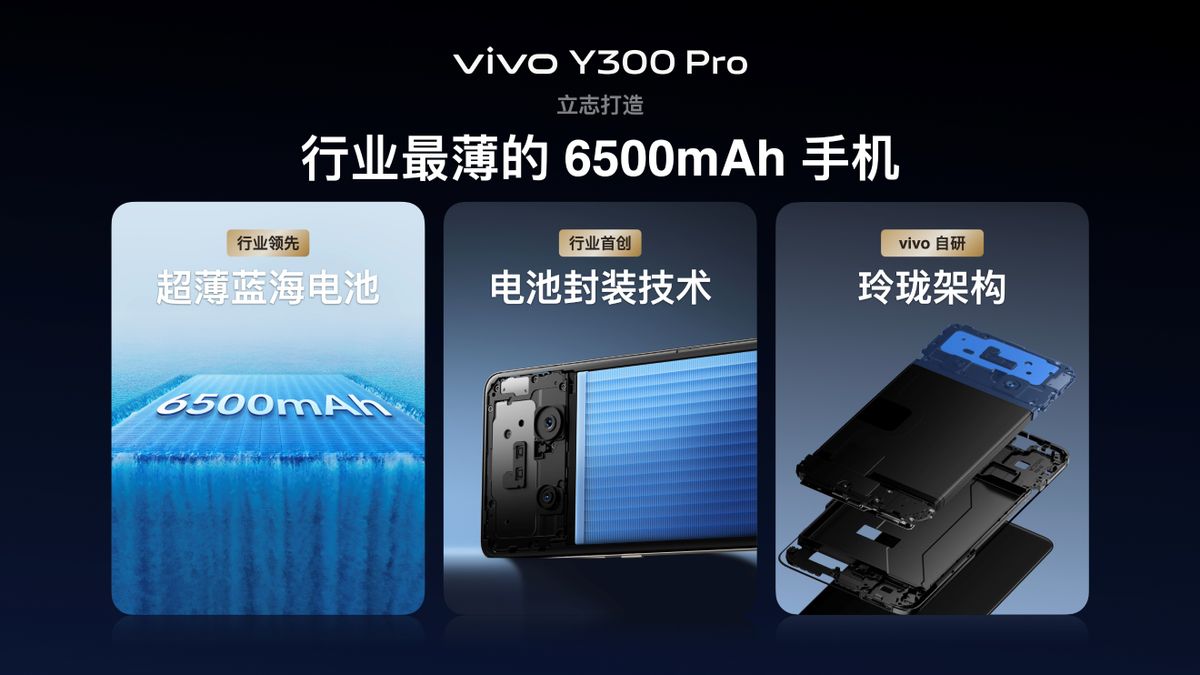 vivo Y300 Pro正式發(fā)布!1799元起,6500mAh超大電池