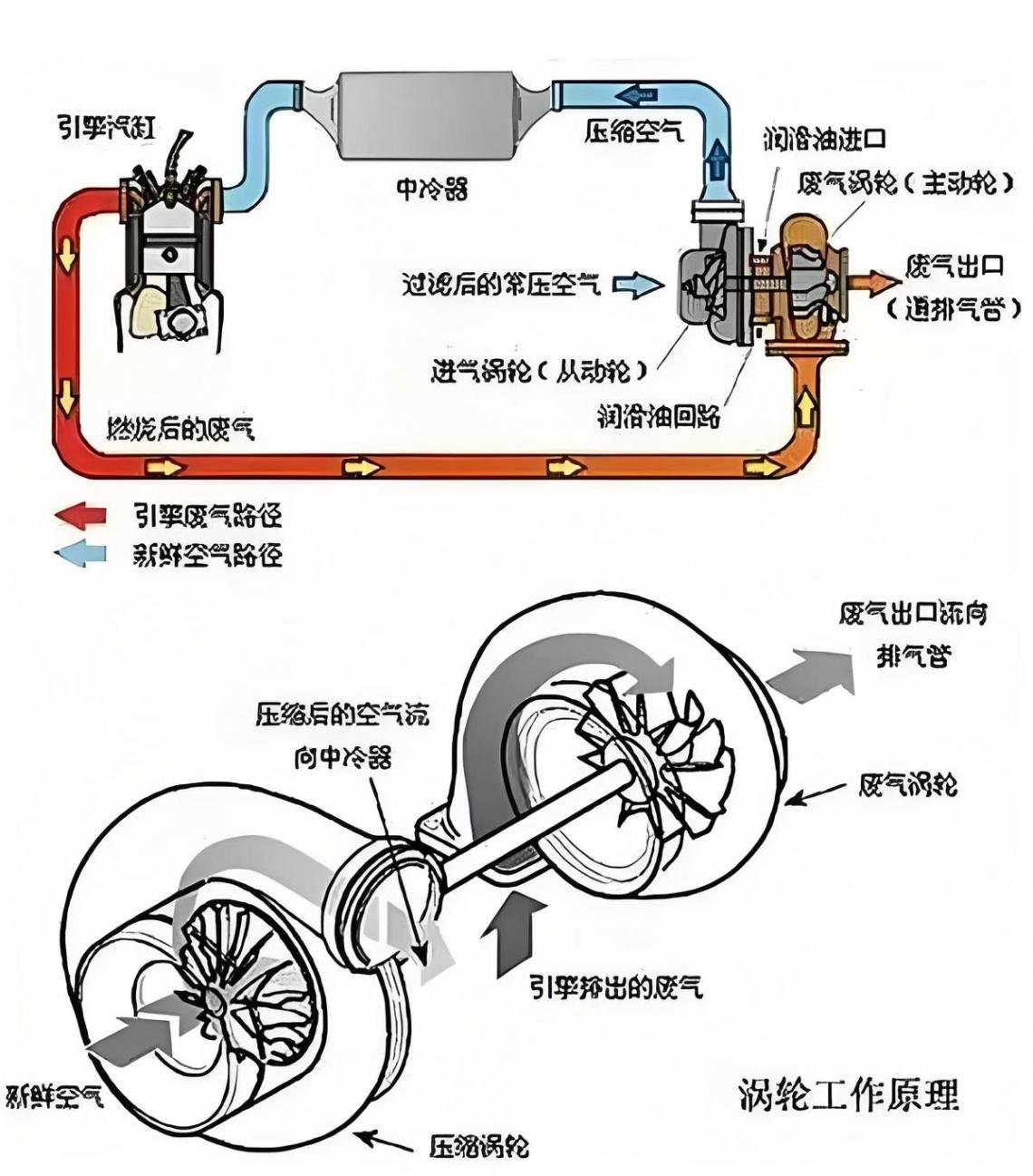 持久如新,速騰保養全攻略,PNF技術是關鍵