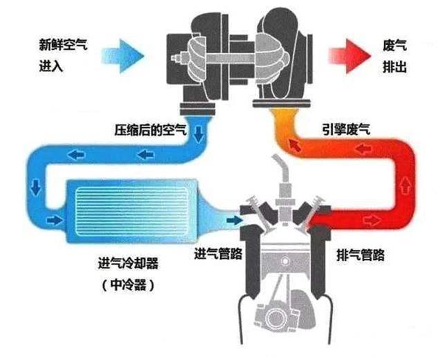 持久如新,速騰保養全攻略,PNF技術是關鍵