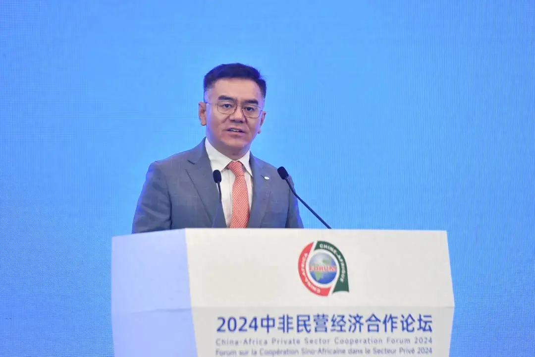 TCL科技COO王成:將持續發力助力非洲工業化建設