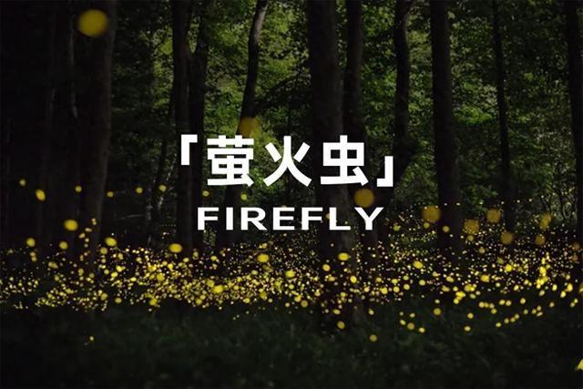 售價10多萬/就海鷗那么大點 蔚來12月發(fā)布全新車型