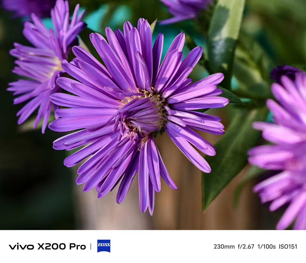 2億像素APO鏡頭加持,vivo X200 Pro把長焦玩明白了