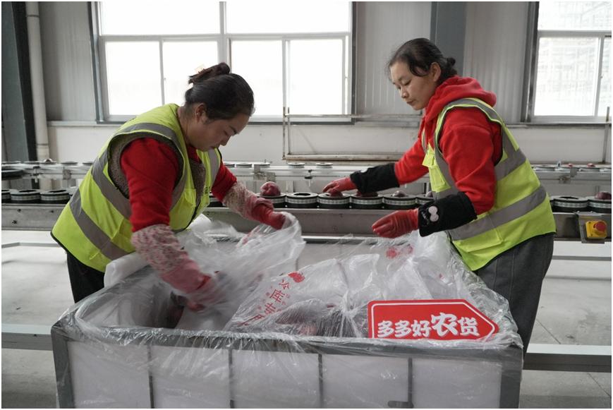 今年第1500億件包裹背后:拼多多帶領電商“一路向西”