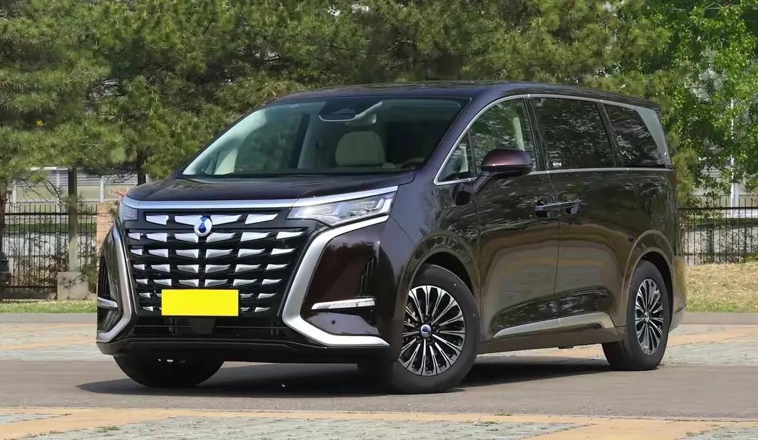 2024年度MPV銷量榜,別克GL8丟冠,賽那亞軍,艾力紳跌出前十名